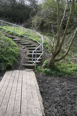 Braintree - Decking Walkway & Handrails